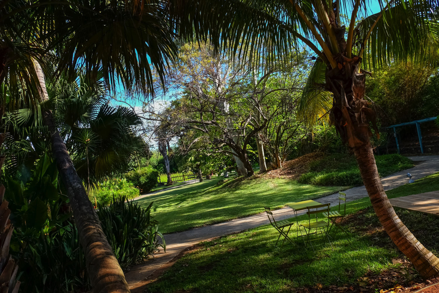 Jardin d'Eden